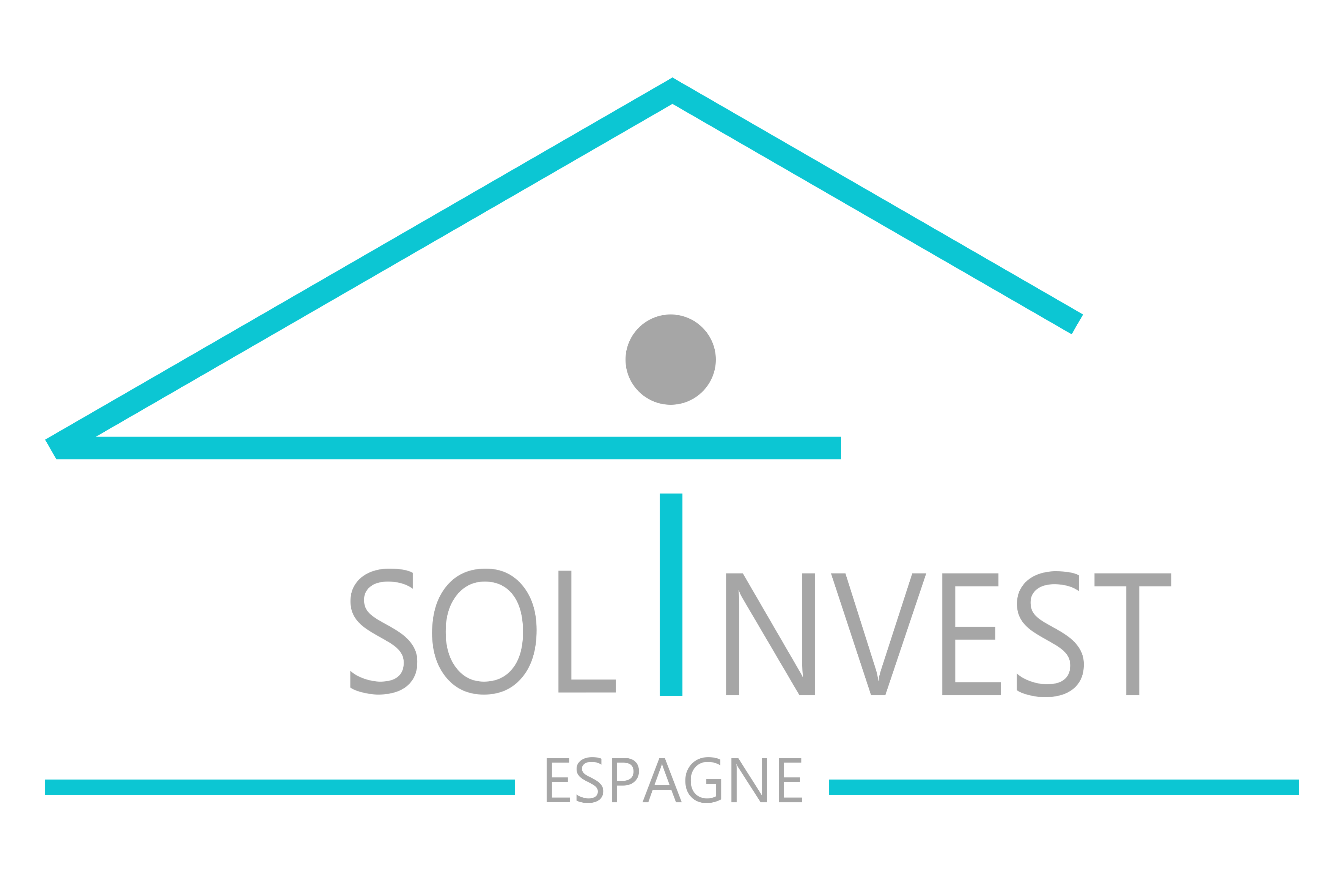 company logo